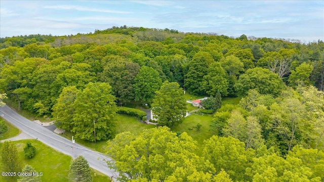 668 Rector Rd, Glenville, NY 12302