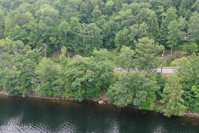 2348 S Shore Rd, Day, NY 12835