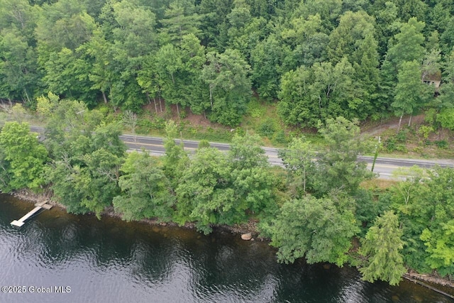 2348 S Shore Rd, Day, NY 12835