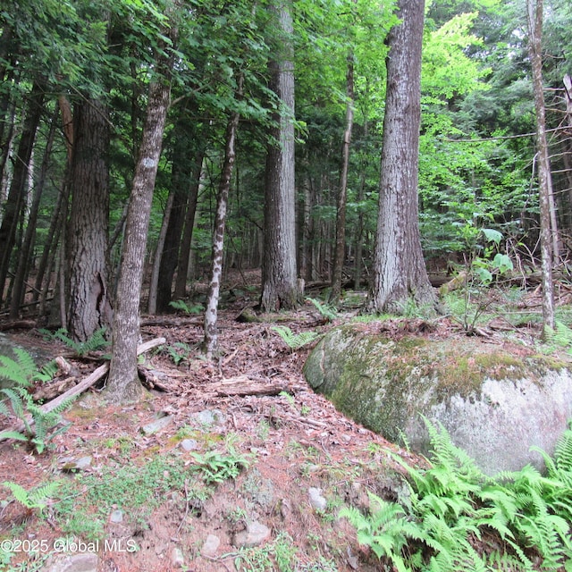 2348 S Shore Rd, Day, NY 12835