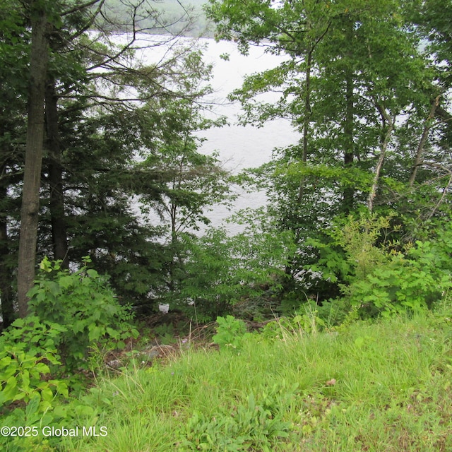 2348 S Shore Rd, Day, NY 12835