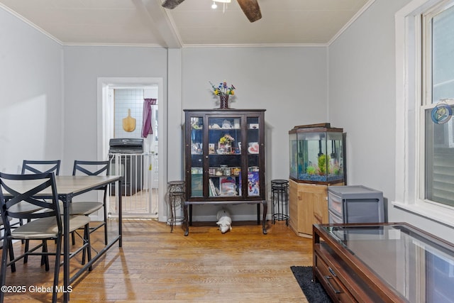 797 Eastern Ave, Schenectady, NY 12308 - dining space with ceiling fan, light wood-style floors, ornamental molding, and baseboards