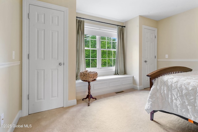 41 Tipperary Way, Clifton Park, NY 12019 - bedroom featuring carpet flooring and baseboards
