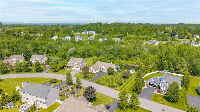 19 Hidden Farm Ln, Halfmoon, NY 12118 - aerial view of residential area