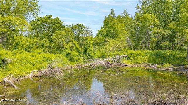 19 Hidden Farm Ln, Halfmoon, NY 12118 - water view