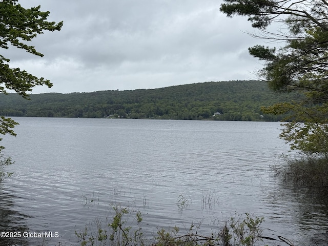 1569 S Shore Rd, Edinburg, NY 12835
