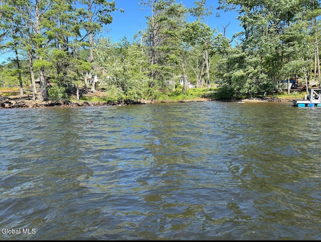 1569 S Shore Rd, Edinburg, NY 12835 - photo 1