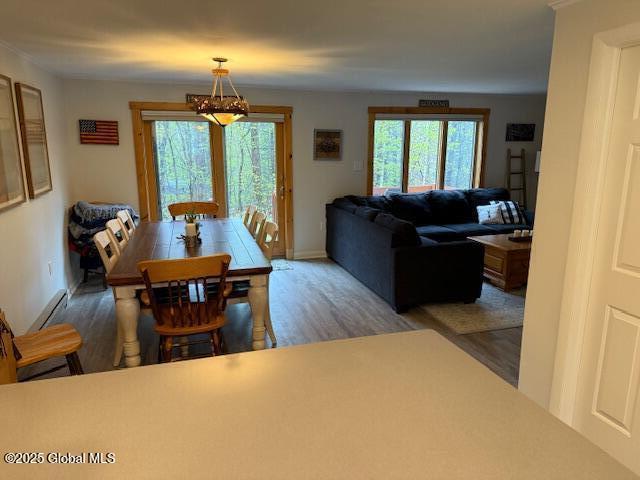 30 Freebern Rd Unit 30C, Johnsburg, NY 12853 - dining room featuring healthy amount of natural light, wood finished floors, and baseboards