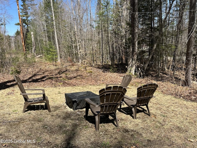 34 Park Rd, Johnsburg, NY 12843 - view of yard