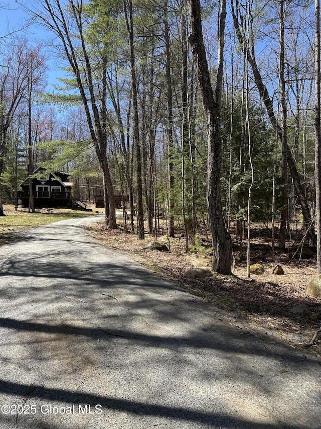 34 Park Rd, Johnsburg, NY 12843 - view of asphalt driveway