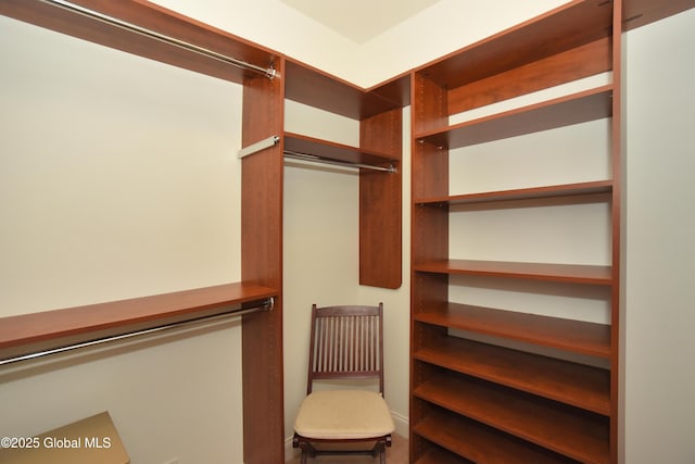 509 Lois Ln, Niskayuna, NY 12304 - view of spacious closet