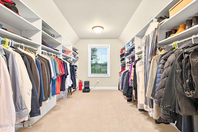 779 Waldens Pond, Guilderland, NY 12203 - spacious closet with carpet flooring and lofted ceiling