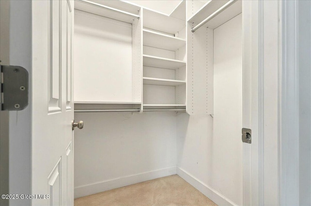 779 Waldens Pond, Guilderland, NY 12203 - walk in closet with light carpet