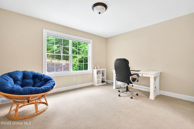 779 Waldens Pond, Guilderland, NY 12203 - carpeted home office featuring baseboards