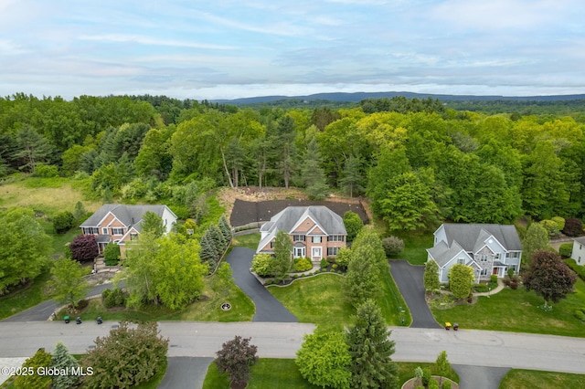 779 Waldens Pond, Guilderland, NY 12203 - drone / aerial view of a heavily wooded area