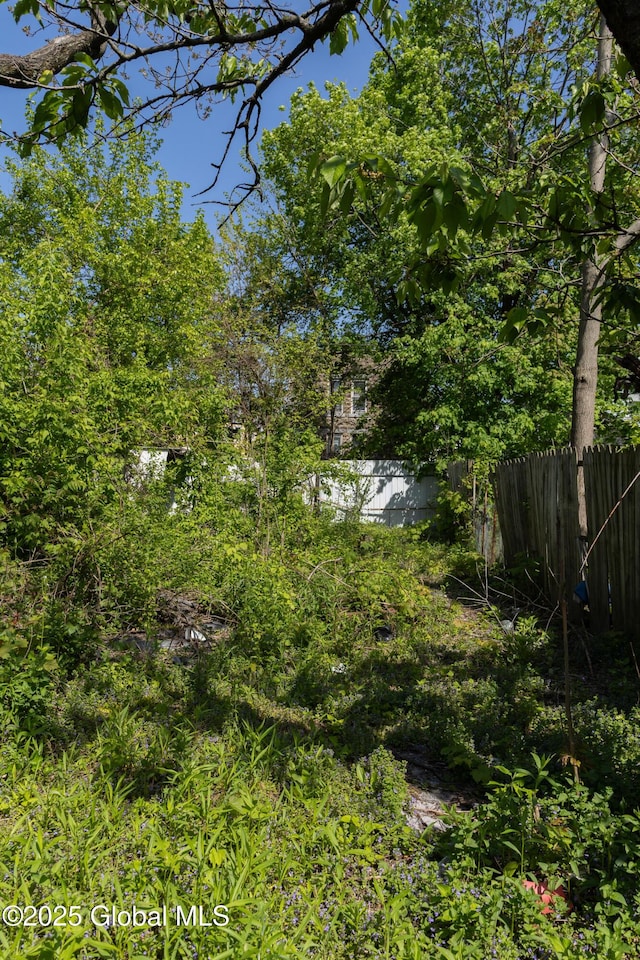 1864 7th Ave, Watervliet, NY 12189 - view of yard