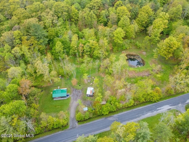 429 Posson Hill Rd, Middleburgh, NY 12122 - aerial view of a heavily wooded area