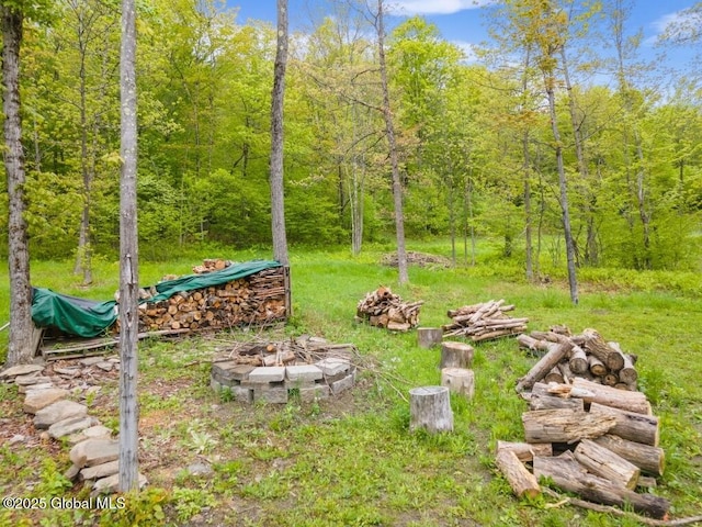 429 Posson Hill Rd, Middleburgh, NY 12122 - view of yard featuring an outdoor fire pit and a forest view