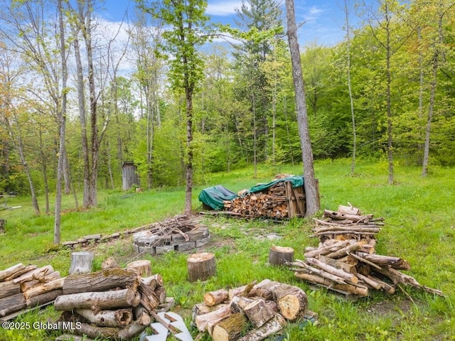 429 Posson Hill Rd, Middleburgh, NY 12122 - view of yard featuring a forest view