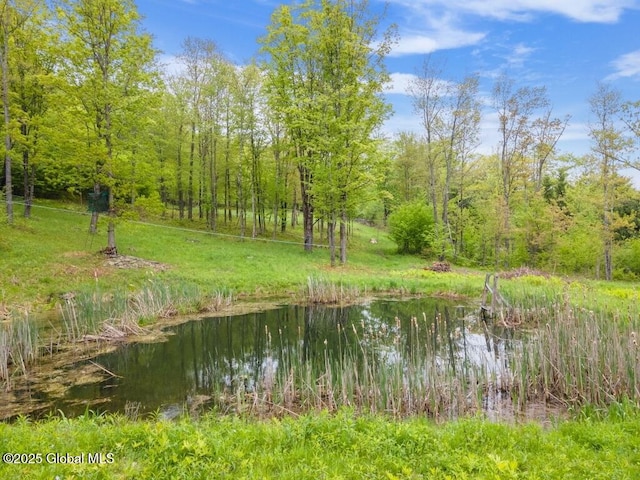 429 Posson Hill Rd, Middleburgh, NY 12122 - water view