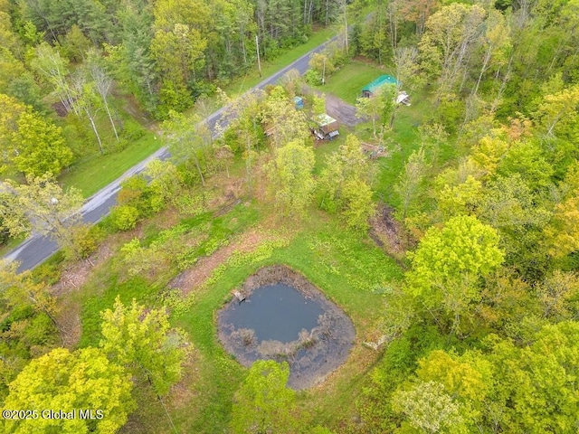 429 Posson Hill Rd, Middleburgh, NY 12122 - drone / aerial view of a heavily wooded area