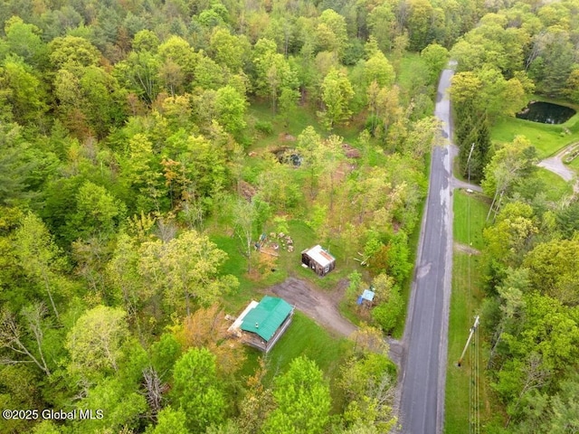 429 Posson Hill Rd, Middleburgh, NY 12122 - bird's eye view of a forest