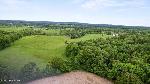 4248 Western Tpke, Guilderland, NY 12009 - drone / aerial view