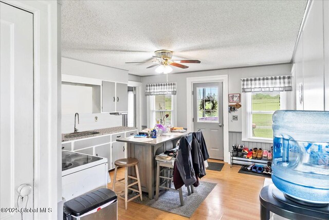 4248 Western Tpke, Guilderland, NY 12009 - kitchen with a sink, plenty of natural light, a textured ceiling, light wood-style flooring, and ceiling fan