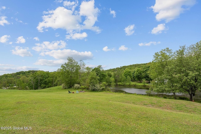 19 Lentine Way, Hebron, NY 12865 - view of green lawn with a water view and a wooded view