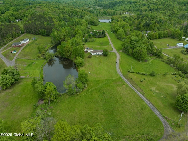 19 Lentine Way, Hebron, NY 12865 - drone / aerial view of a nearby body of water and a forest