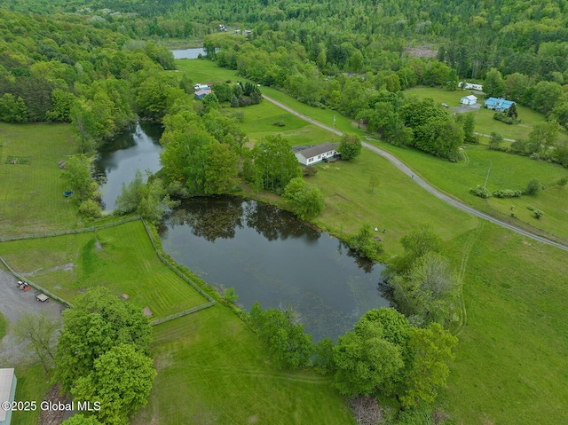 19 Lentine Way, Hebron, NY 12865 - overview of rural landscape featuring a large body of water and a heavily wooded area