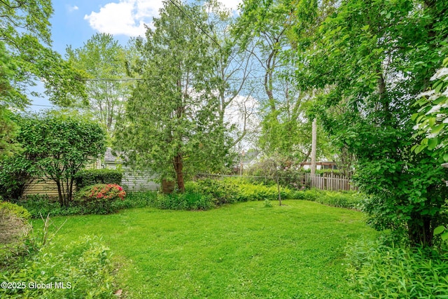 393 Whitehall Rd, Albany, NY 12208 - view of yard