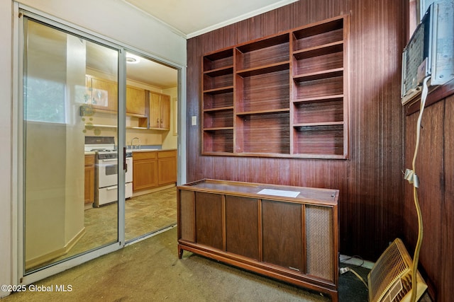 393 Whitehall Rd, Albany, NY 12208 - unfurnished office featuring light colored carpet, ornamental molding, a sink, and wood walls
