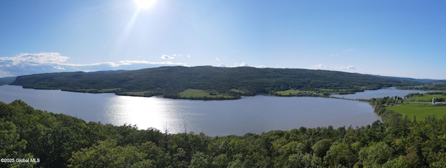 L16 Saunders Rd, Whitehall Village, NY 12887