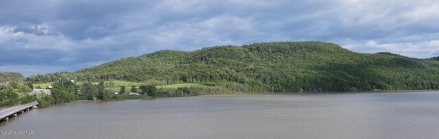 L16 Saunders Rd, Whitehall Village, NY 12887
