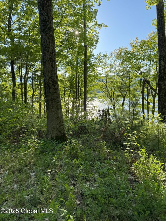 L16 Saunders Rd, Whitehall Village, NY 12887