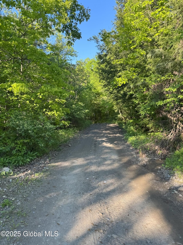 L16 Saunders Rd, Whitehall Village, NY 12887