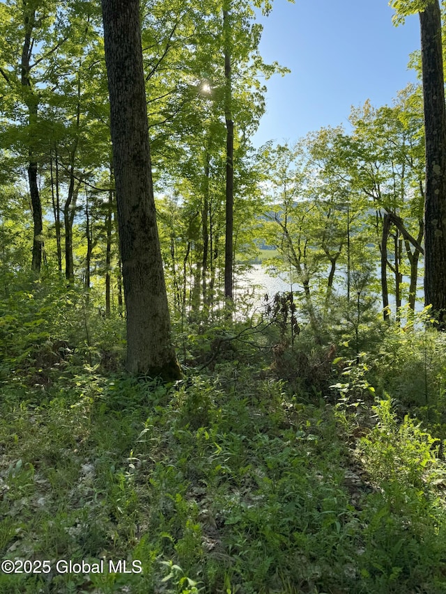 L16 Saunders Rd, Whitehall Village, NY 12887