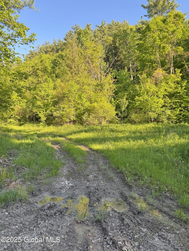 L16 Saunders Rd, Whitehall Village, NY 12887