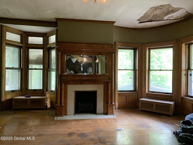 1077 University Pl, Schenectady, NY 12308 - unfurnished living room featuring radiator, plenty of natural light, wood finished floors, and a fireplace with flush hearth
