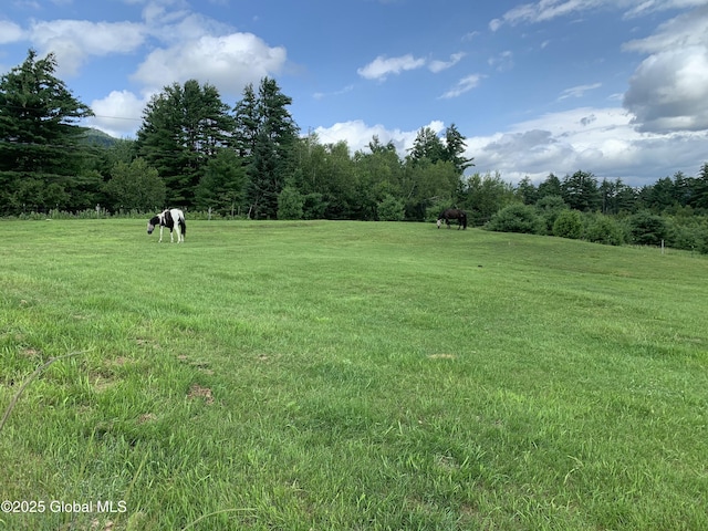 162 Garnet Lake Rd, Thurman, NY 12885 - view of grassy yard featuring a view of countryside and a forest view