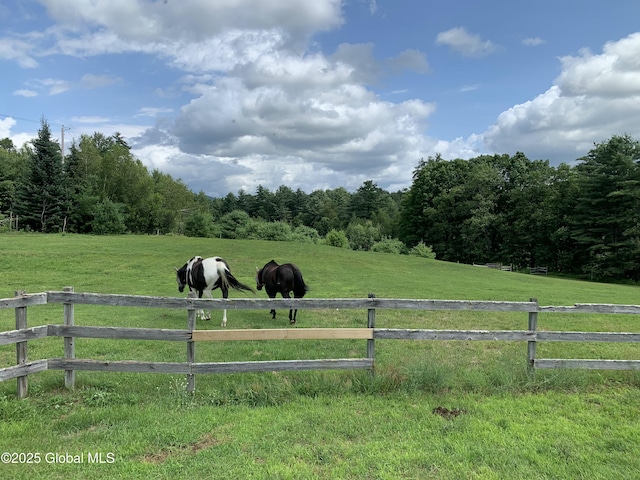 162 Garnet Lake Rd, Thurman, NY 12885 - view of yard featuring a rural view and a forest view