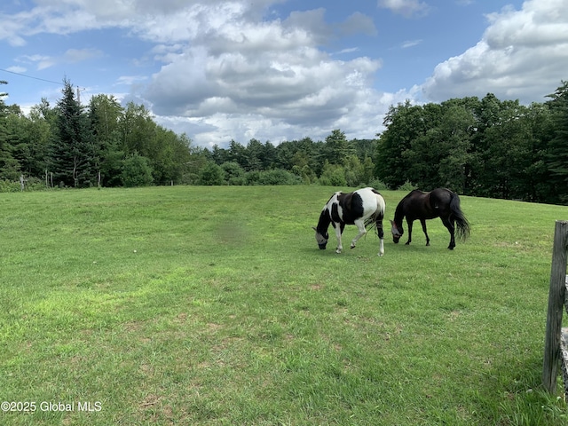 162 Garnet Lake Rd, Thurman, NY 12885 - view of community featuring a view of countryside, a view of trees, and a yard