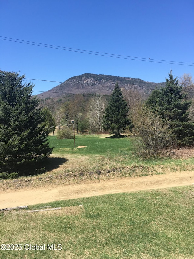 162 Garnet Lake Rd, Thurman, NY 12885 - view of mountain backdrop