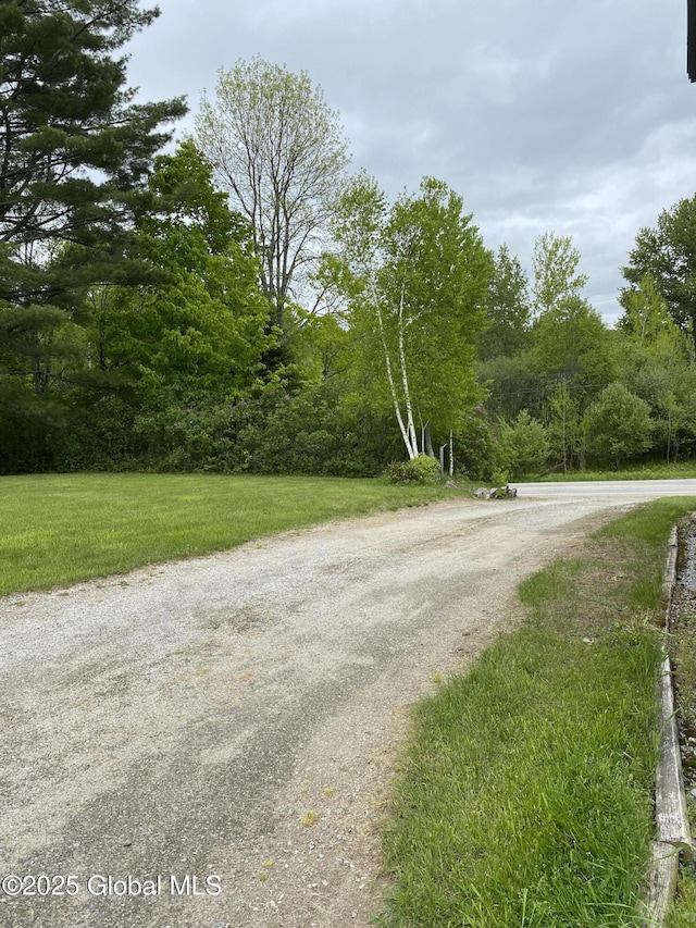 162 Garnet Lake Rd, Thurman, NY 12885 - view of road featuring a wooded view
