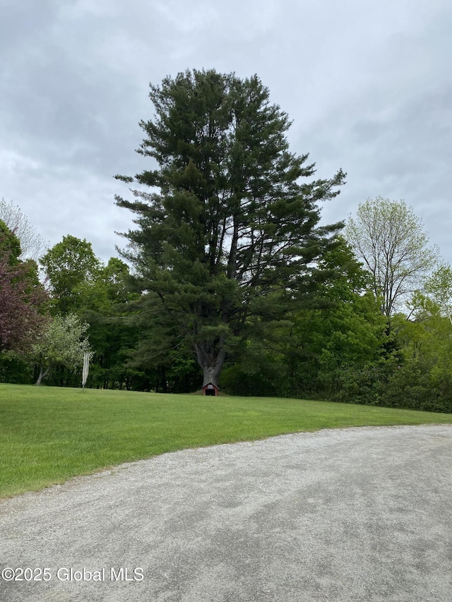 162 Garnet Lake Rd, Thurman, NY 12885 - view of green lawn