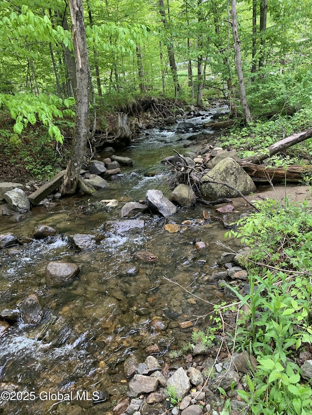162 Garnet Lake Rd, Thurman, NY 12885 - view of wooded area