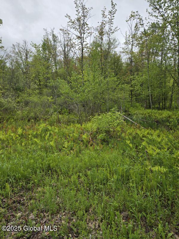 L4 Johnson Rd, Glenville, NY 12302