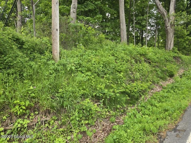 L4 Johnson Rd, Glenville, NY 12302