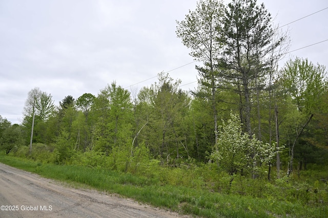 75 Mackin Rd, Russell, NY 13684